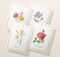 Twigs Paper - Garden Flower Greeting Cards 12-Count - Floral Note Cards with Envelopes - Blank Thank You Cards - Stationery Set - Eco-Friendly